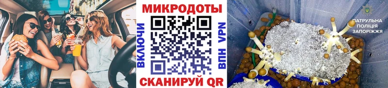 Псилоцибиновые грибы GOLDEN TEACHER  Белоярский 